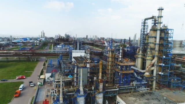 Природная зона Сургута &ndash; основные особенности