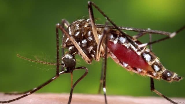 Природная зона Сургута &ndash; основные особенности