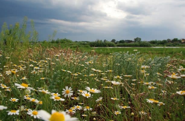 Природная зона Волгограда &ndash; в какой зоне находится Волгоградская область