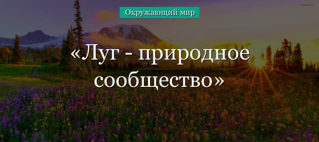Природное сообщество Луг – характеристика животных