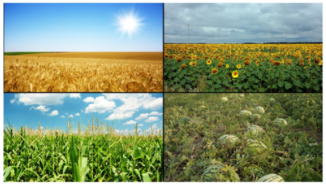 Природные комплексы нашей местности – описание, характеристики по плану для сообщения кратко (6 класс, география)