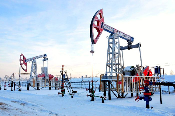 Природные ресурсы Сибири – кратко список для сообщения (9 класс, география)