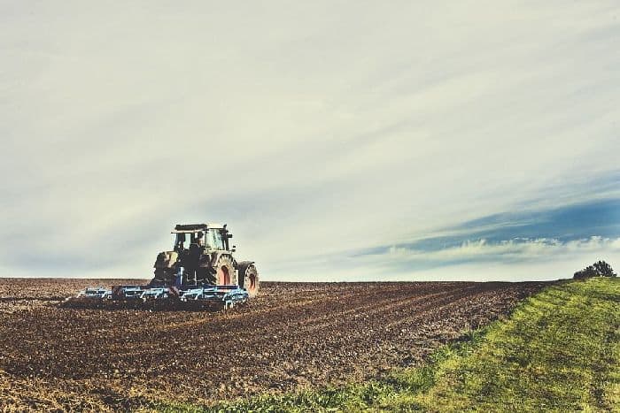 Природные ресурсы Урала &ndash; богатства и условия горной части России кратко (8 класс)