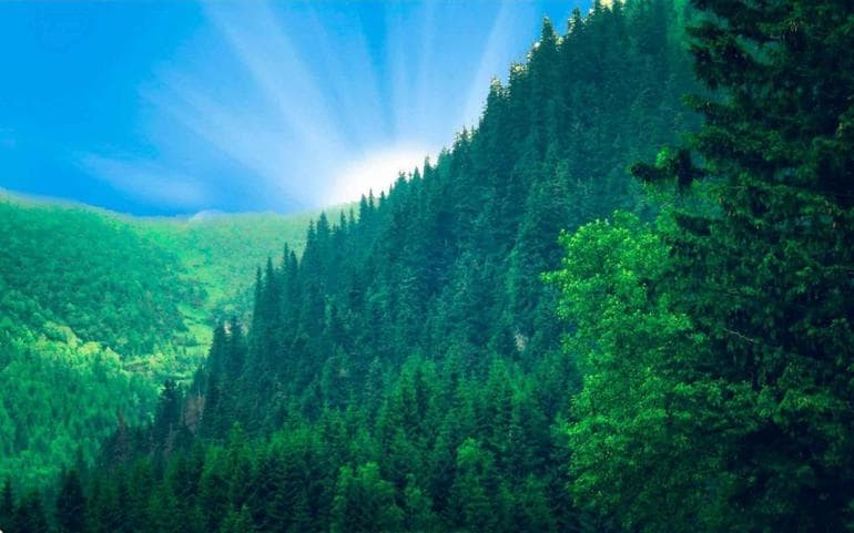 Природные ресурсы зарубежной Европы — характеристика, оценка и запасы