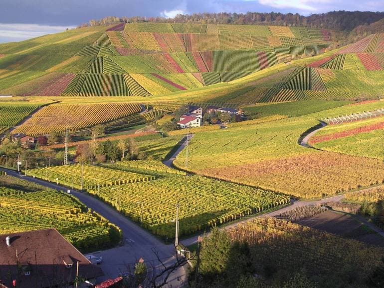 Природные ресурсы зарубежной Европы — характеристика, оценка и запасы