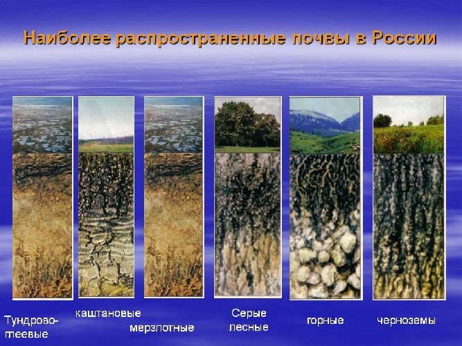 Природные условия и ресурсы – географическое положение, особенности влияния, характеристики и примеры кратко (8 класс, география)