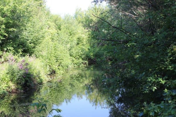 Природные зоны Башкортостана и Уфы