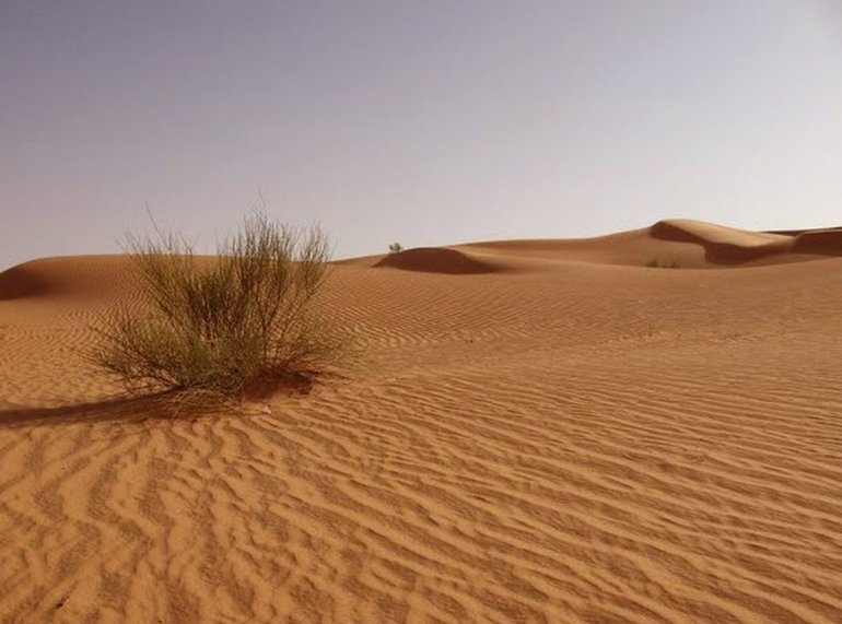 Природные зоны южных материков &mdash; описание, характеристика и особенности природы и климата