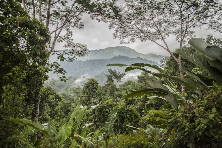 Природные зоны южных материков &mdash; описание, характеристика и особенности природы и климата