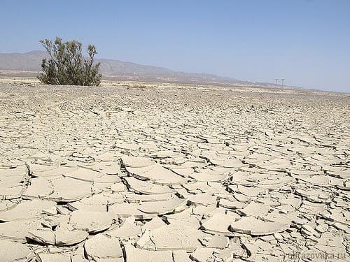 Природные зоны Казахстана &ndash; основные особенности