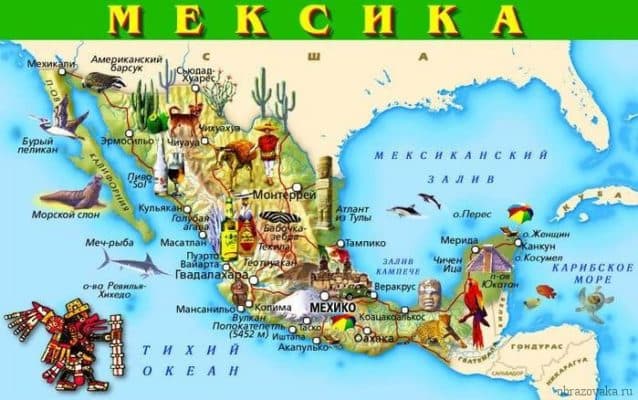 Природные зоны Мексики &ndash; основные особенности