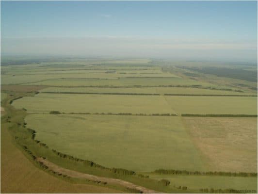 Природные зоны Новосибирской области и Новосибирска