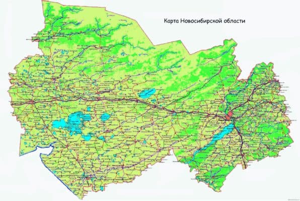 Природные зоны Новосибирской области и Новосибирска