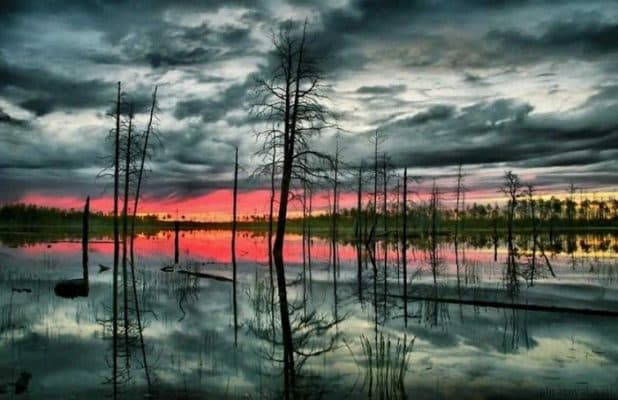 Природные зоны реки Обь – по каким зонам протекает