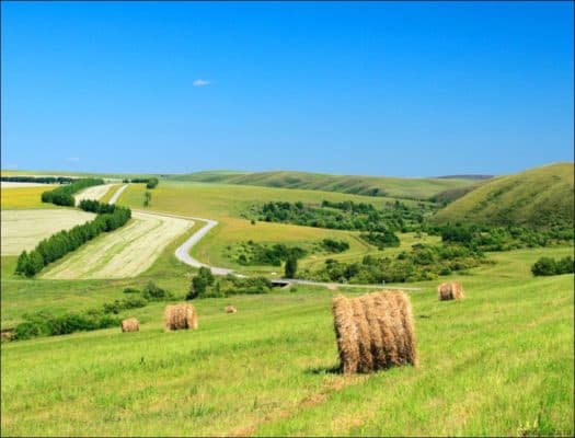 Природные зоны реки Обь – по каким зонам протекает