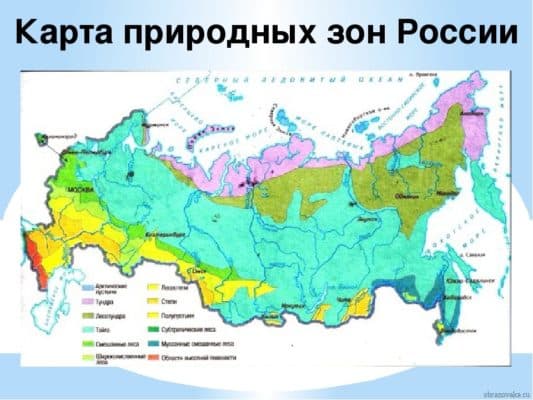 Природные зоны России (8 класс), основные, преобладающие и характерные зоны нашей страны
