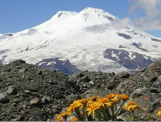Природные зоны Северного Кавказа – кратко основные особенности
