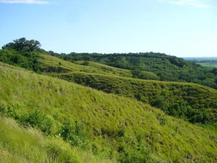 Природные зоны Северной Америки &mdash; описание и характеристика, особенности флоры и фауны