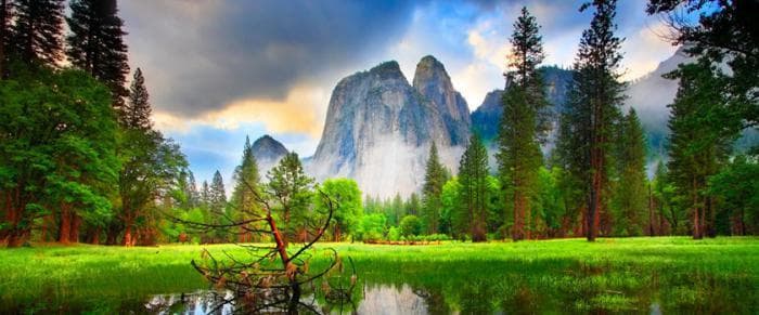 Природные зоны Северной Америки &mdash; описание и характеристика, особенности флоры и фауны