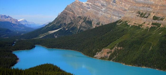 Природные зоны Северной Америки &mdash; описание и характеристика, особенности флоры и фауны