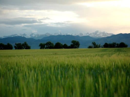 Природные зоны Северной Америки – таблица и характеристика, карта