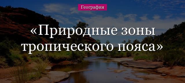 Природные зоны тропического пояса – описание тропиков
