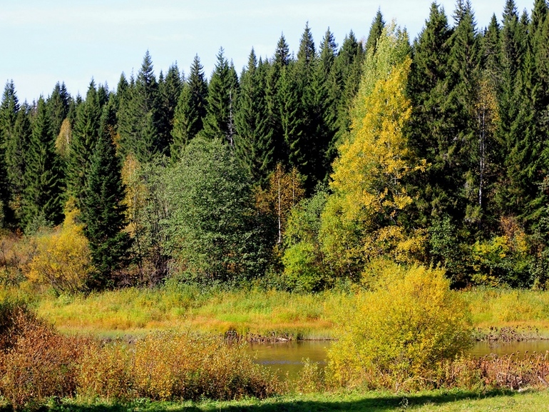 Природные зоны Урала &mdash; особенности и разнообразие климата, флоры и фауны