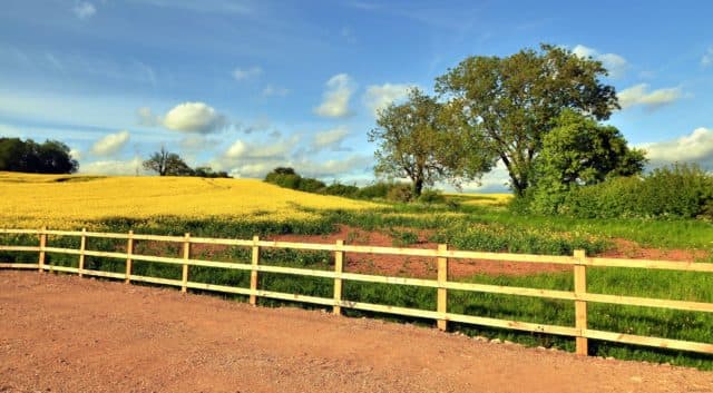 Природные зоны Великобритании &ndash; основные особенности