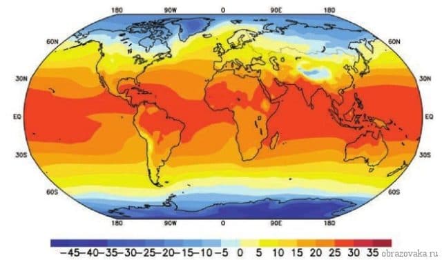 Природные зоны влажных экваториальных лесов &ndash; что характерно, описание