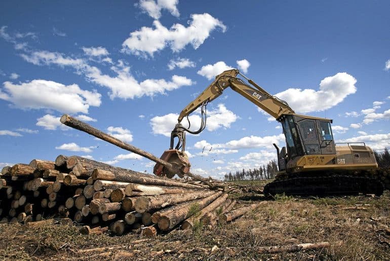 Промышленность Канады &mdash; черты размещения, общая характеристика и особенности развития