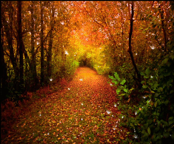 Проверочное слово к слову «листва»