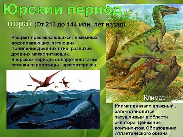 Проверочное слово к слову «ПЕРИОД»