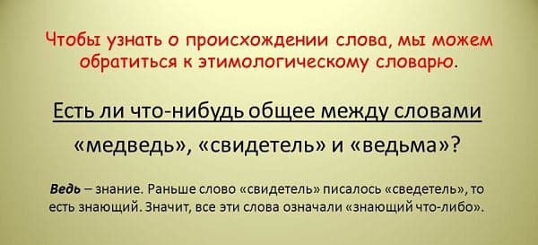 Проверочное слово к слову «свидетель»