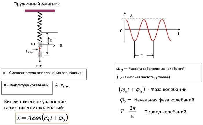 Пружинный маятник &mdash; формулы и уравнения нахождения величин