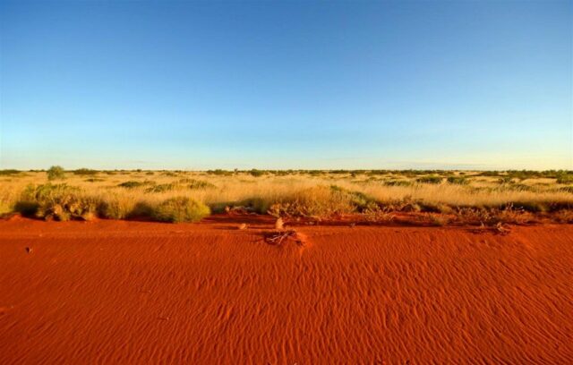 Пустыни и полупустыни Евразии – климат, почвы, растения, животные – характеристики кратко