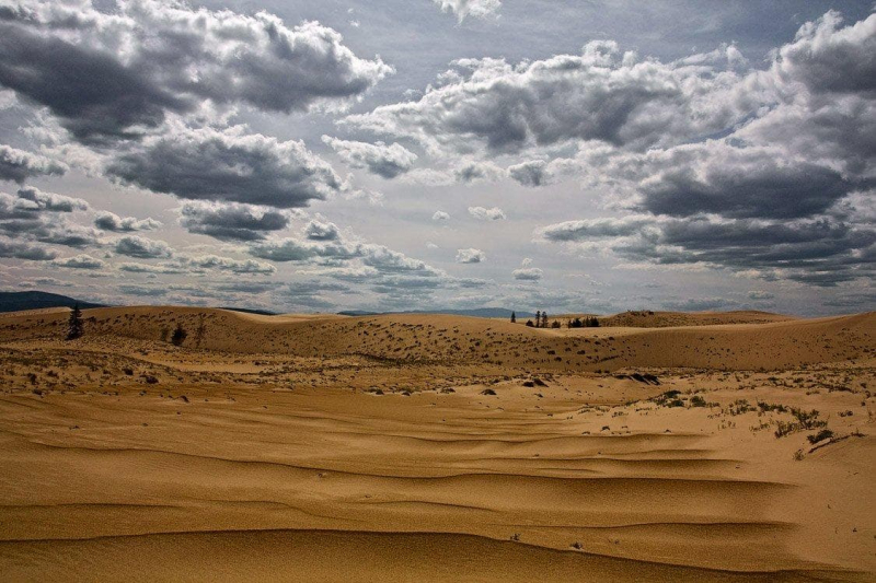 Пустыни и полупустыни &mdash; климат, животный мир и растительность, интересные факты