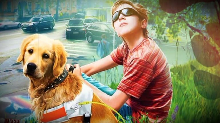 &laquo;Радуга для друга&raquo; &mdash; краткое содержание книги М. Самарского