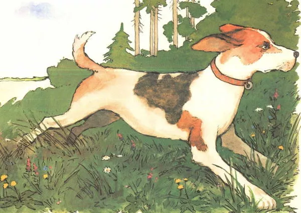 «Рассказы о животных» Э. Сетона-Томпсона – краткое содержание