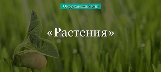 Растения и их группы в таблице (2 класс, окружающий мир)