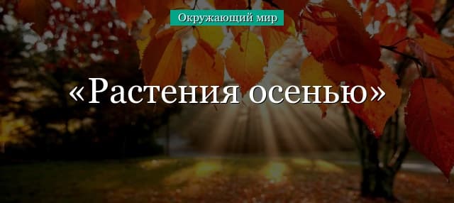 Растения осенью (окружающий мир, 1 класс)