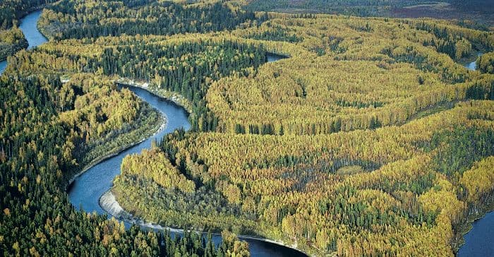 Равнина – кратко о виде местности