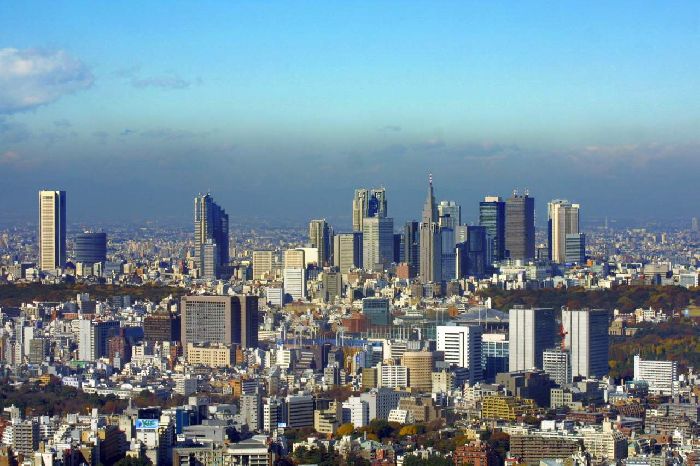 Размещение населения мира на Земле – кратко для сообщения (10 класс, география)