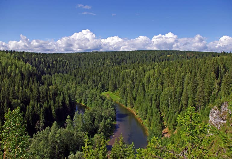 Размещение природных зон на Земле &mdash; описание, закономерности и характеристика