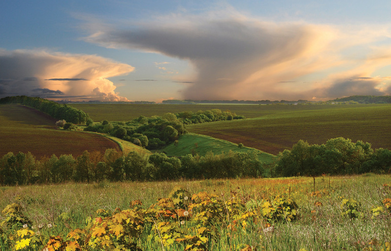Размещение природных зон на Земле &mdash; описание, закономерности и характеристика