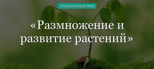Размножение и развитие растений (3 класс, окружающий мир)