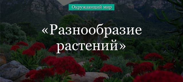 Разнообразие растений (3 класс окружающий мир) – таблица