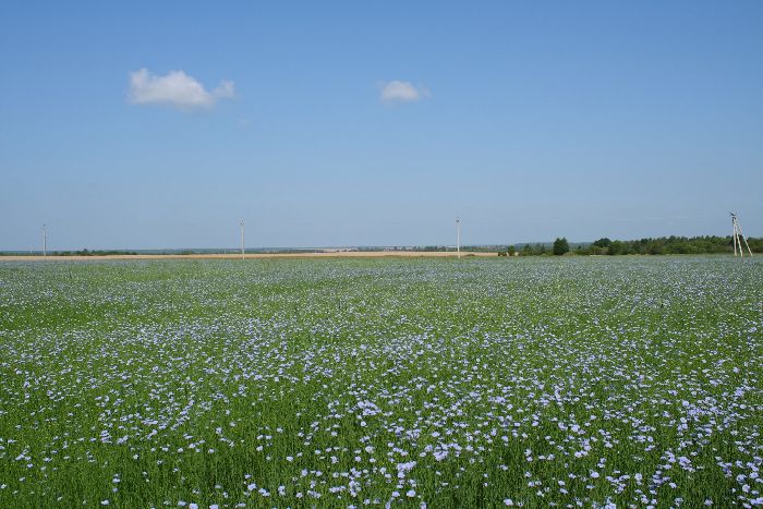 Разнообразие веществ &ndash; кратко описание (3 класс, окружающий мир)