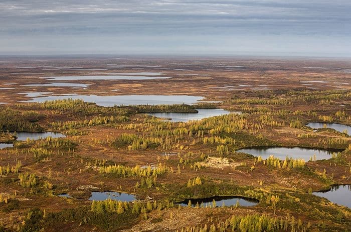 Развитие форм рельефа (8 класс) &ndash; Россия и мир