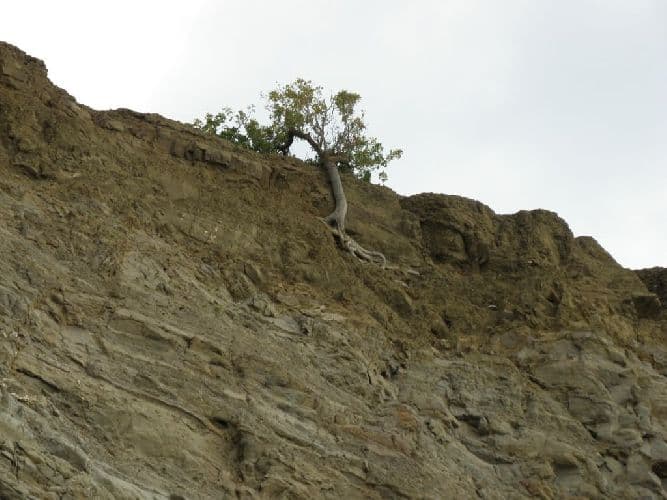 Развитие форм рельефа (8 класс) &ndash; Россия и мир