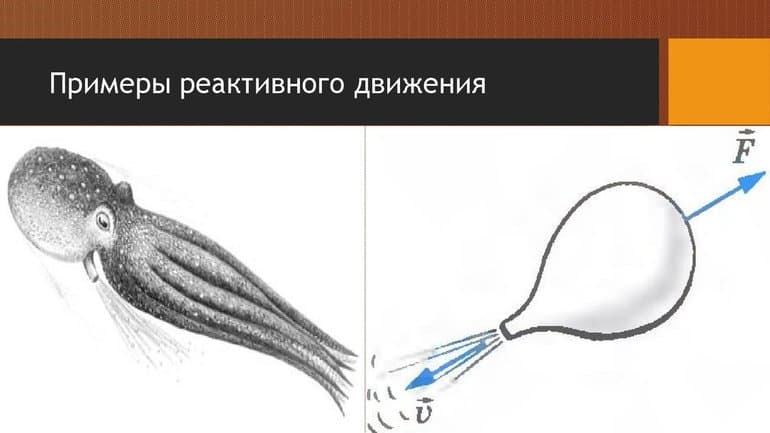 Реактивное движение — определение в физике, история открытия, суть, формула